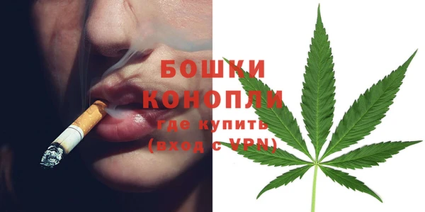 PSILOCYBIN Волоколамск