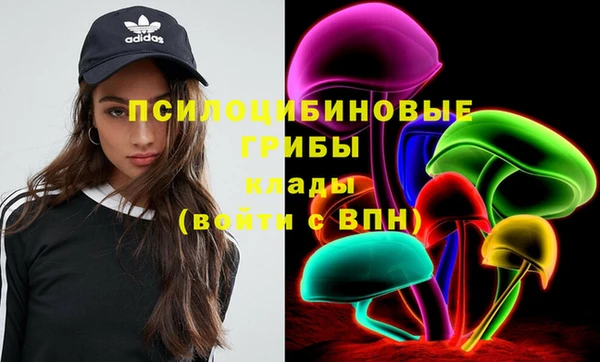 PSILOCYBIN Волоколамск